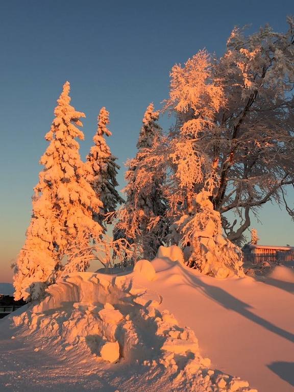 Home Suites Deluxe Mit Sauna Braunlage Zewnętrze zdjęcie